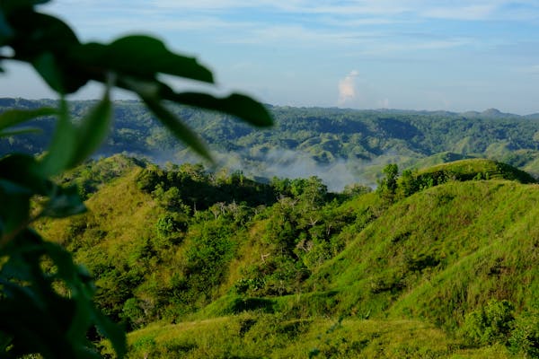 Sognare gemelli: numeri del lotto